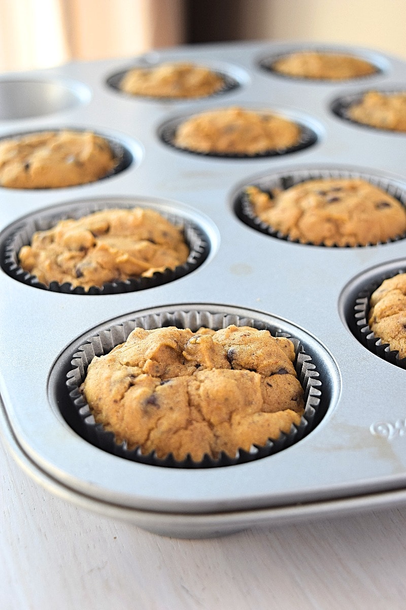 A freshly baked tray of pumpkin chocolate chip muffins