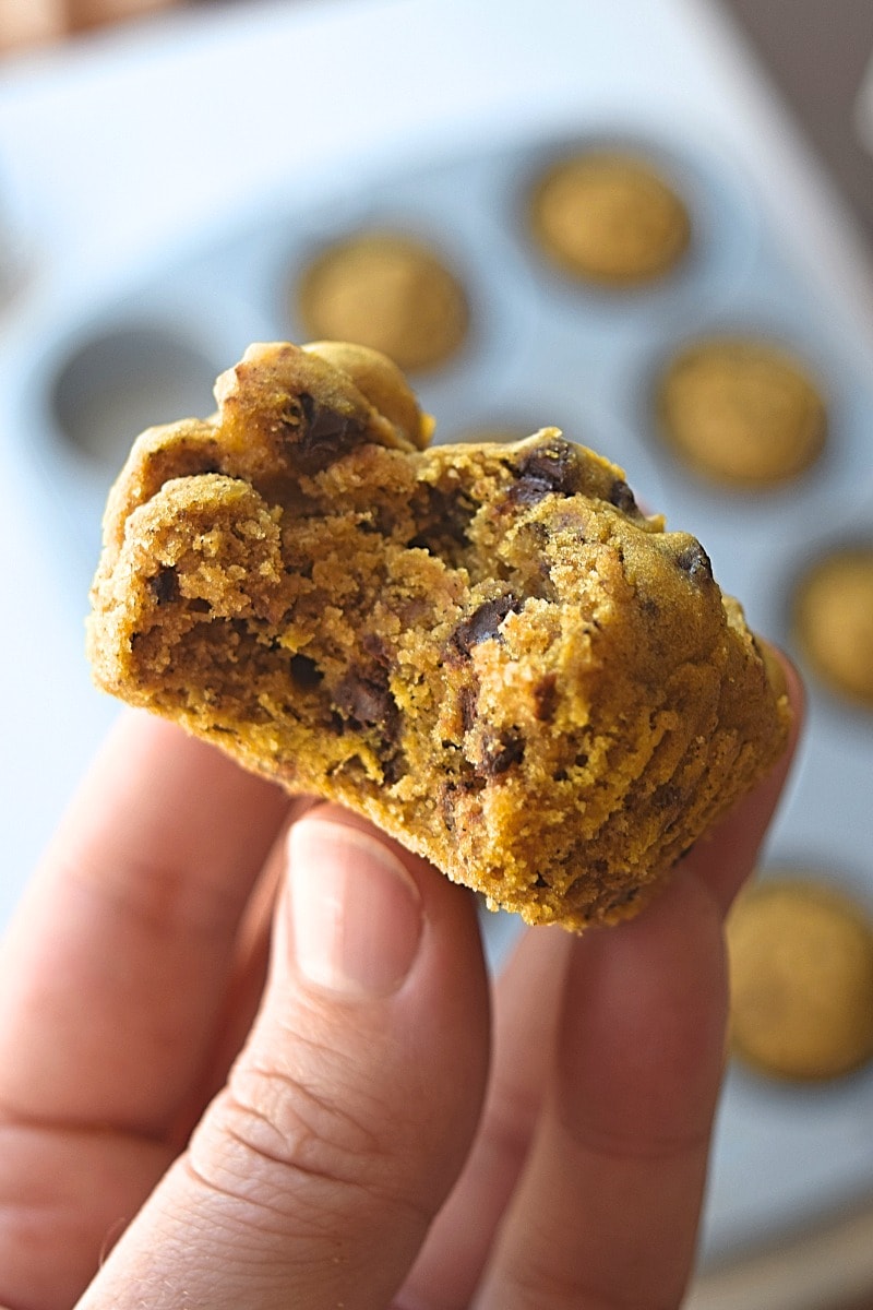 A bite taken out of a pumpkin chocolate chip muffins