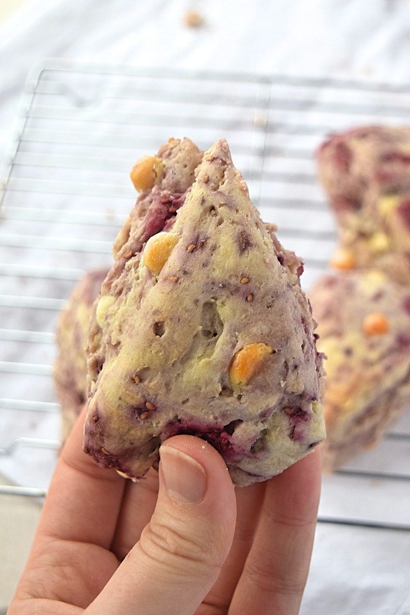 Holding a gluten free raspberry white chocolate scone up to the camera.