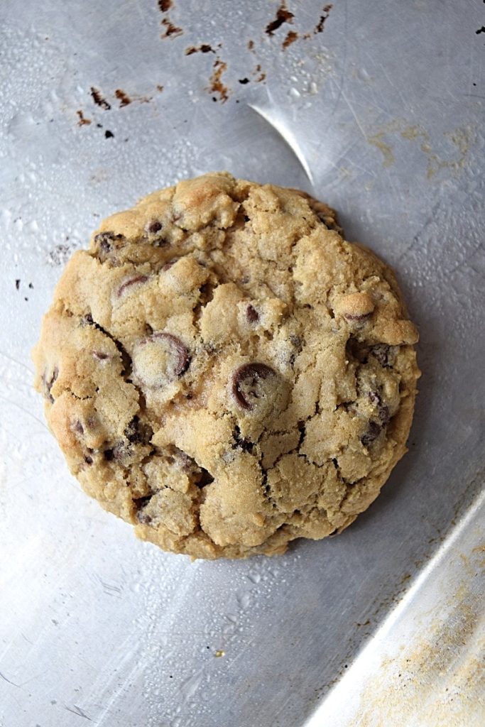 Gluten Free Chocolate Chip Cookies