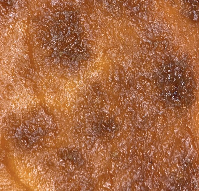 Vegan sweet potato pie no crust
